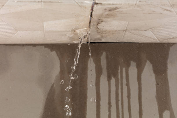 Professional Sewage Cleanup technician working in Paris, AR